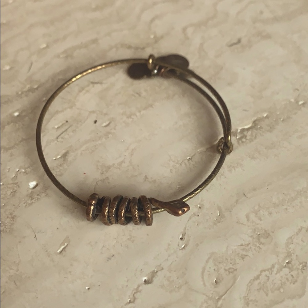 ALEX & ANI snake coil wrap bracelet
